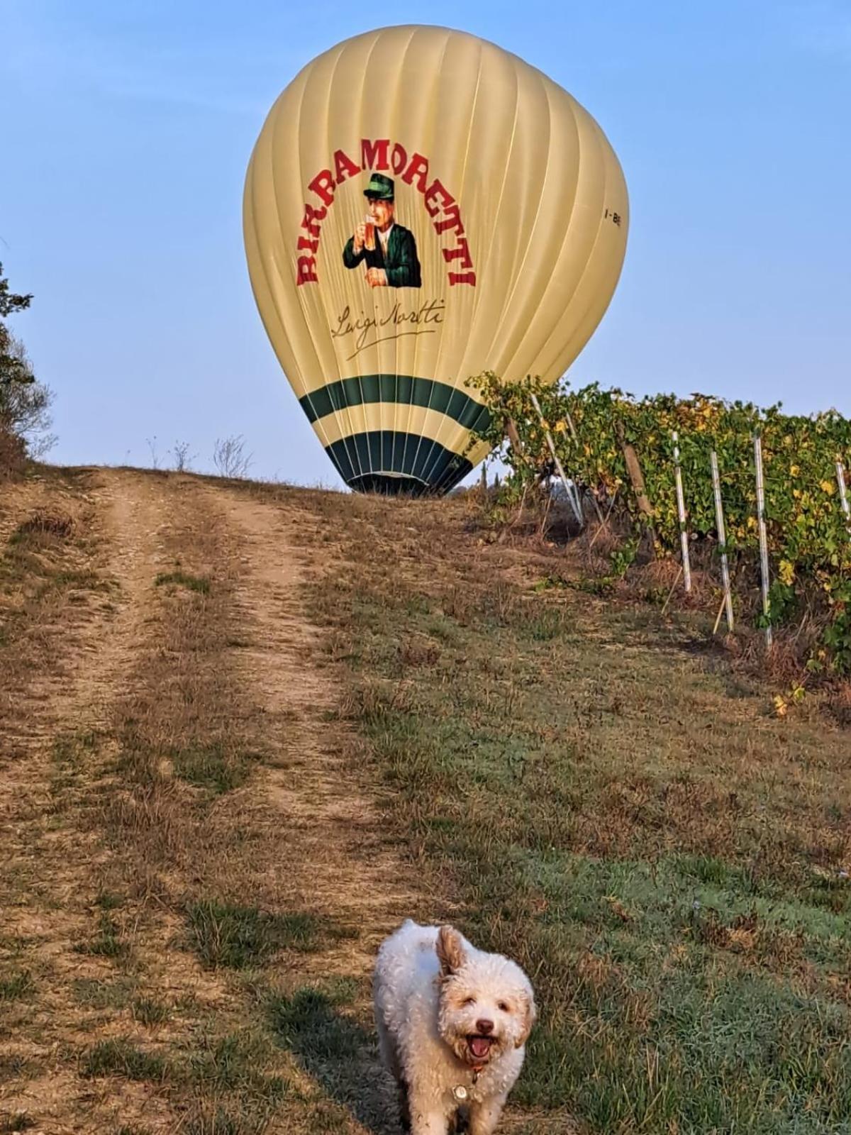 Podere Fichereto Tuscany Apartment In Florence Countryside Scandicci Ngoại thất bức ảnh